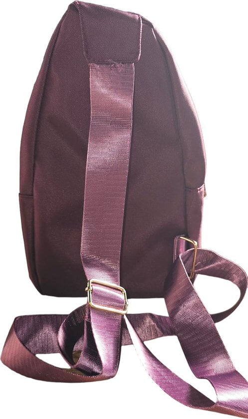 Sasemy - Borsttas Voor Dames - Sling Bag - 2 rits/vakken - Dames - Heren - Paars - Bloemen print # - 30 x 16 x 6 - Slingbag - Reistas- Schoudertas - Rugzak - Crossbody bag - Moederdag Cadeau - Verjaardag Cadeau - Sinterklaas Cadeau - Kerst Cadeau - Afbeelding 2