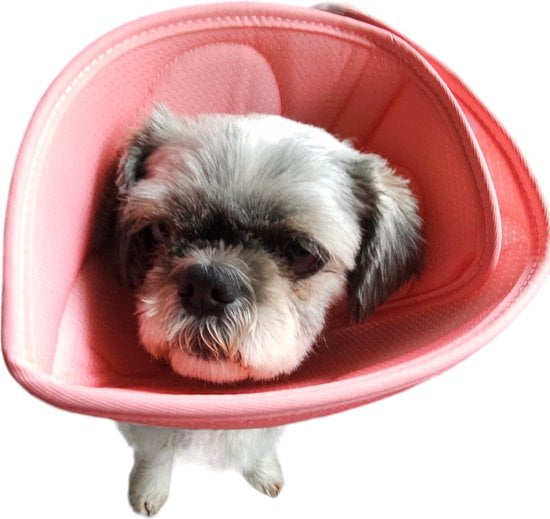Sasemy® - Beschermkraag voor katten & kleine honden - Maat S - Afbeelding 4