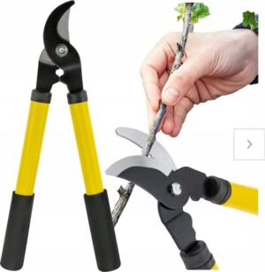 Heggenschaar - Takkenschaar - Bloemenschaar - Snoeischaar - Snoeien - Heg knippen - Tuinieren - Takken snoeien